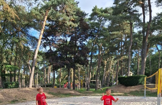 (vergroot foto)