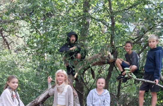  (vergroot foto)